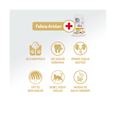 Felicia Az Tahıllı 12 Kg Sterilised Tavuklu HypoAllergenic Kedi Maması