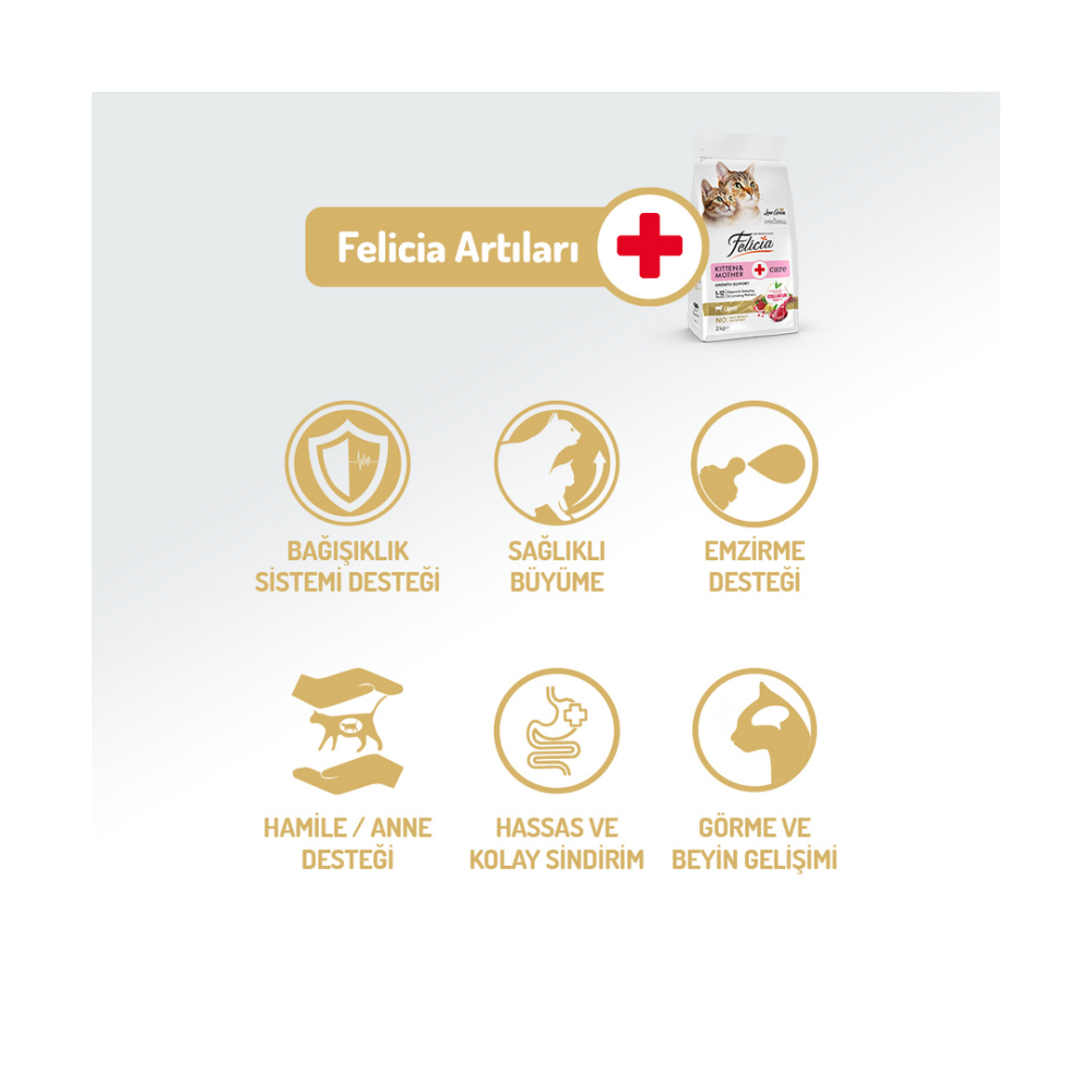 Felicia Az Tahıllı 2 Kg Yavru Kuzu Etli HypoAllergenic Kedi Maması