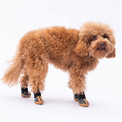 PawStar Ferrara Köpek Ayakkabısı Size:1