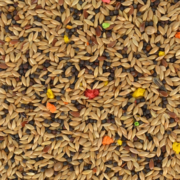 Quik Kanarya Yemi 500gr