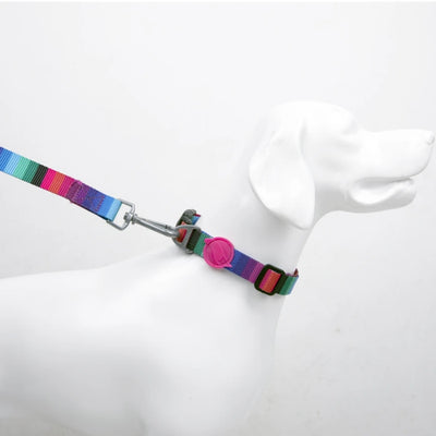 TailPetz Wave Boyun Tasması S