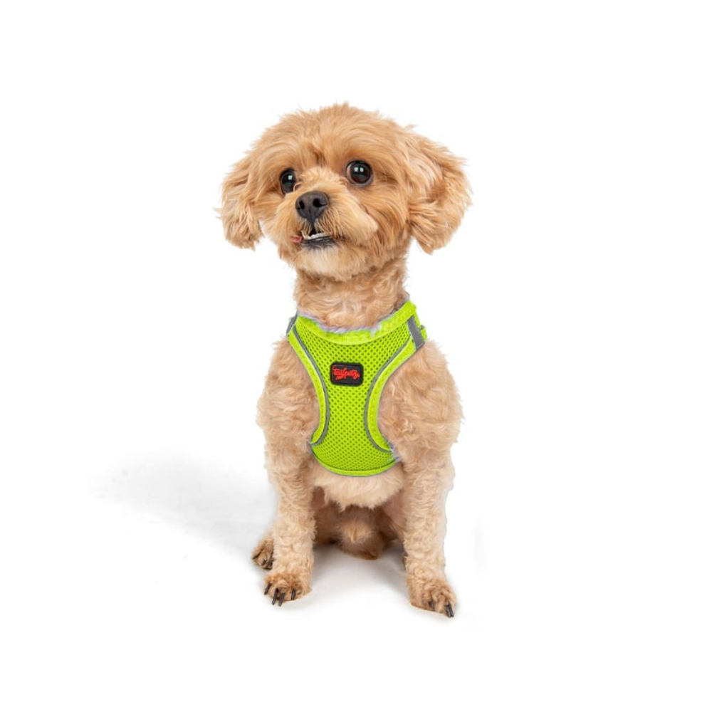 TailPetz Airmesh Neo Lime Köpek Göğüs Tasması 2XS