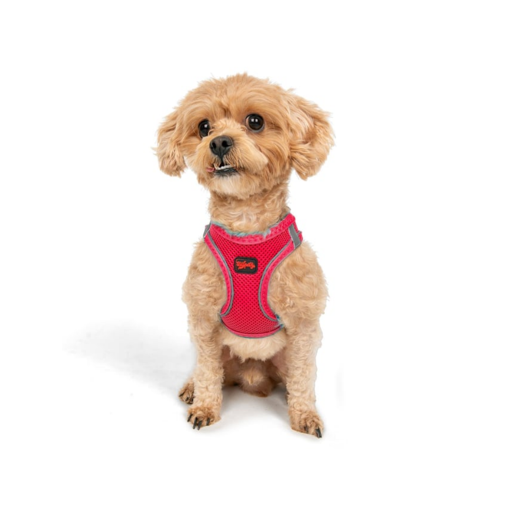 TailPetz Airmesh Neo Pink Köpek Göğüs Tasması 2XS