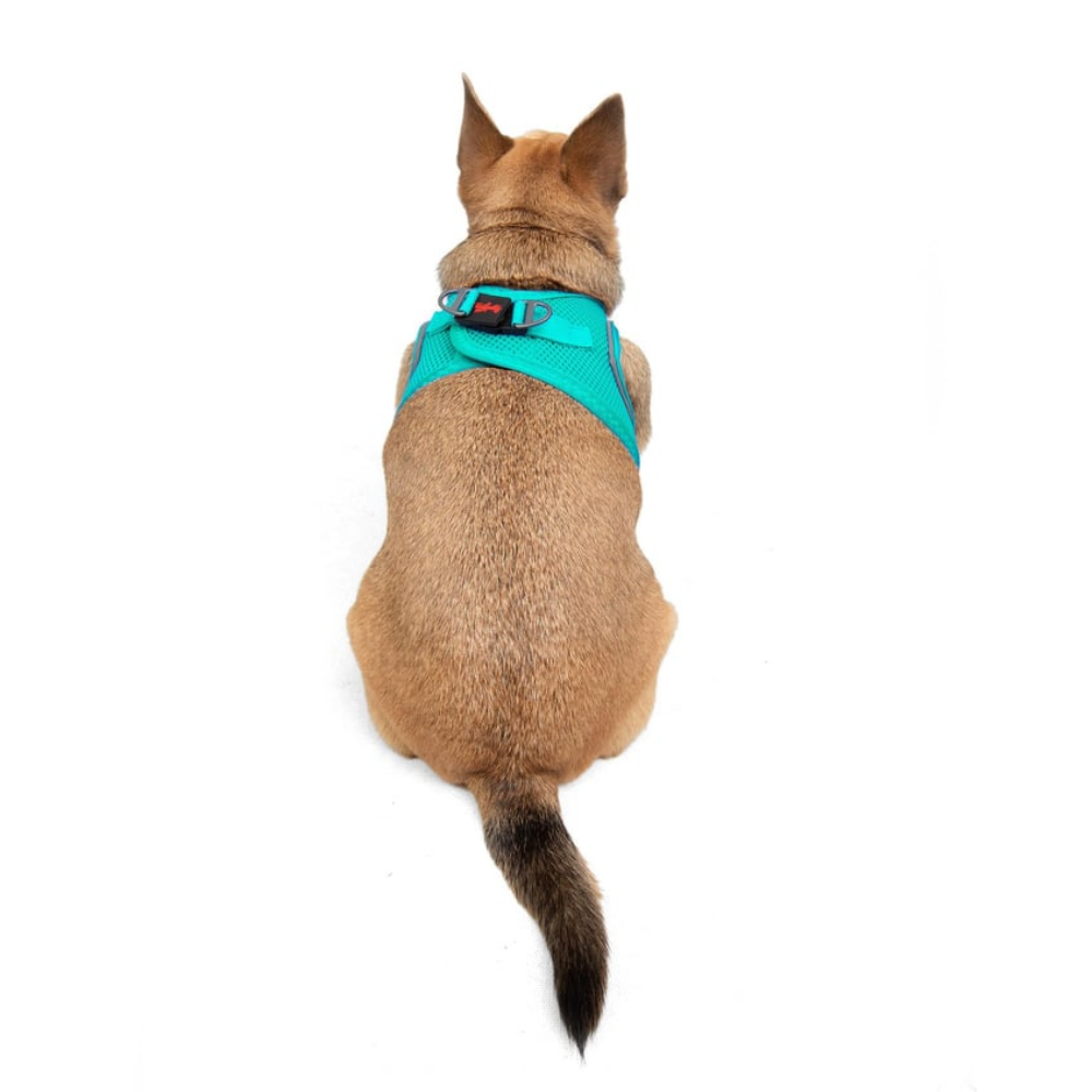 TailPetz Airmesh Ocean Köpek Göğüs Tasması 3XS