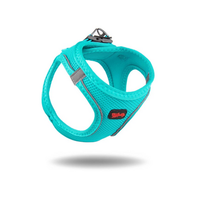TailPetz Airmesh Ocean Köpek Göğüs Tasması S