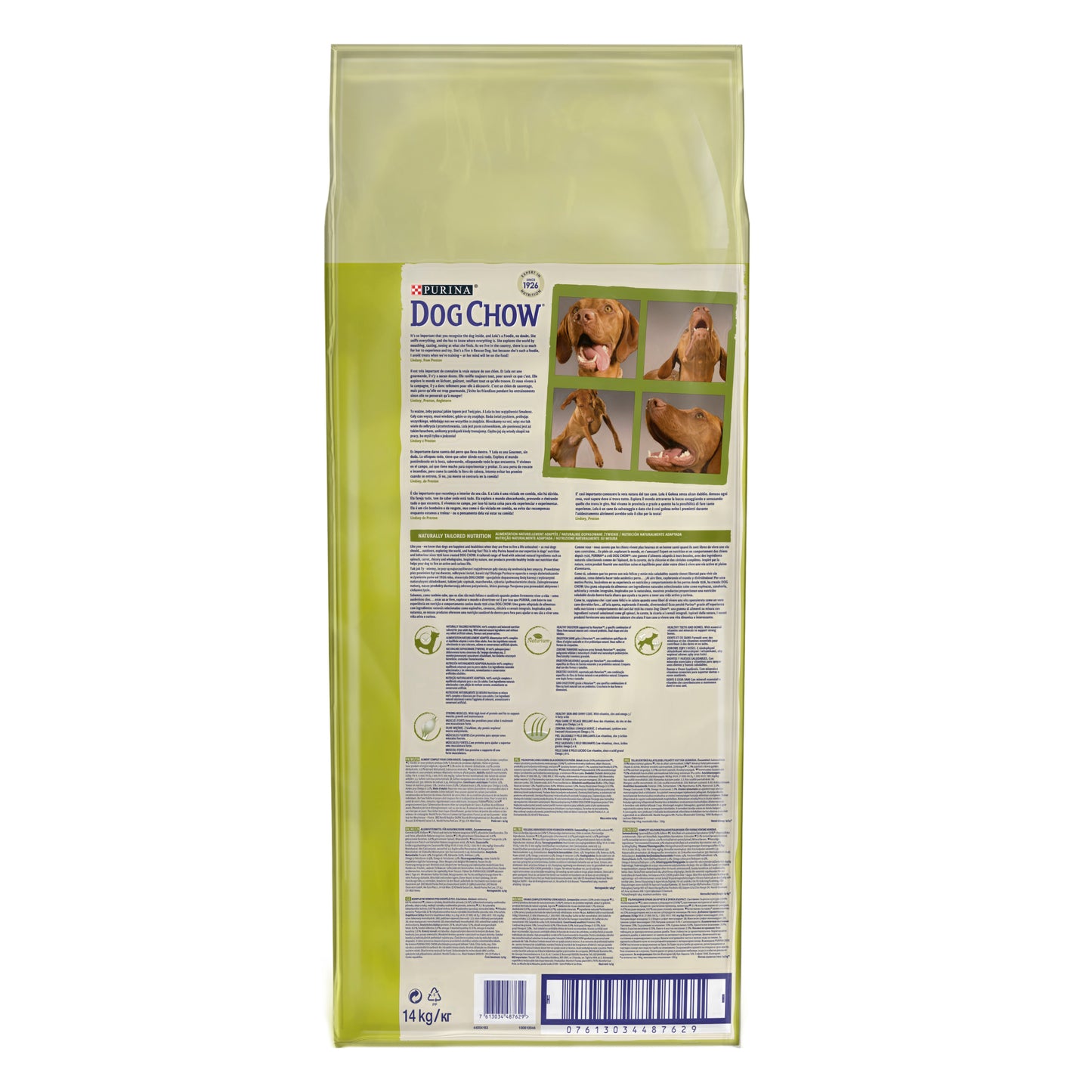 Dog Chow Tavuklu 14 Kg Yetişkin Kuru Köpek Maması