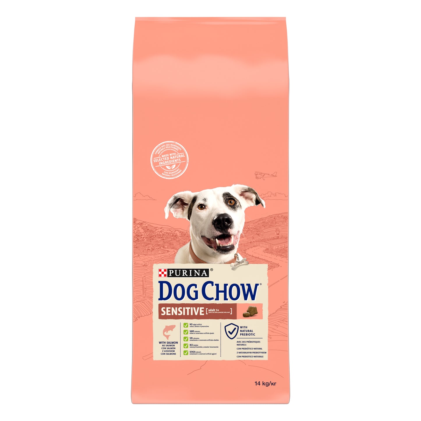 Dog Chow Somonlu 14 Kg Yetişkin Kuru Köpek Maması