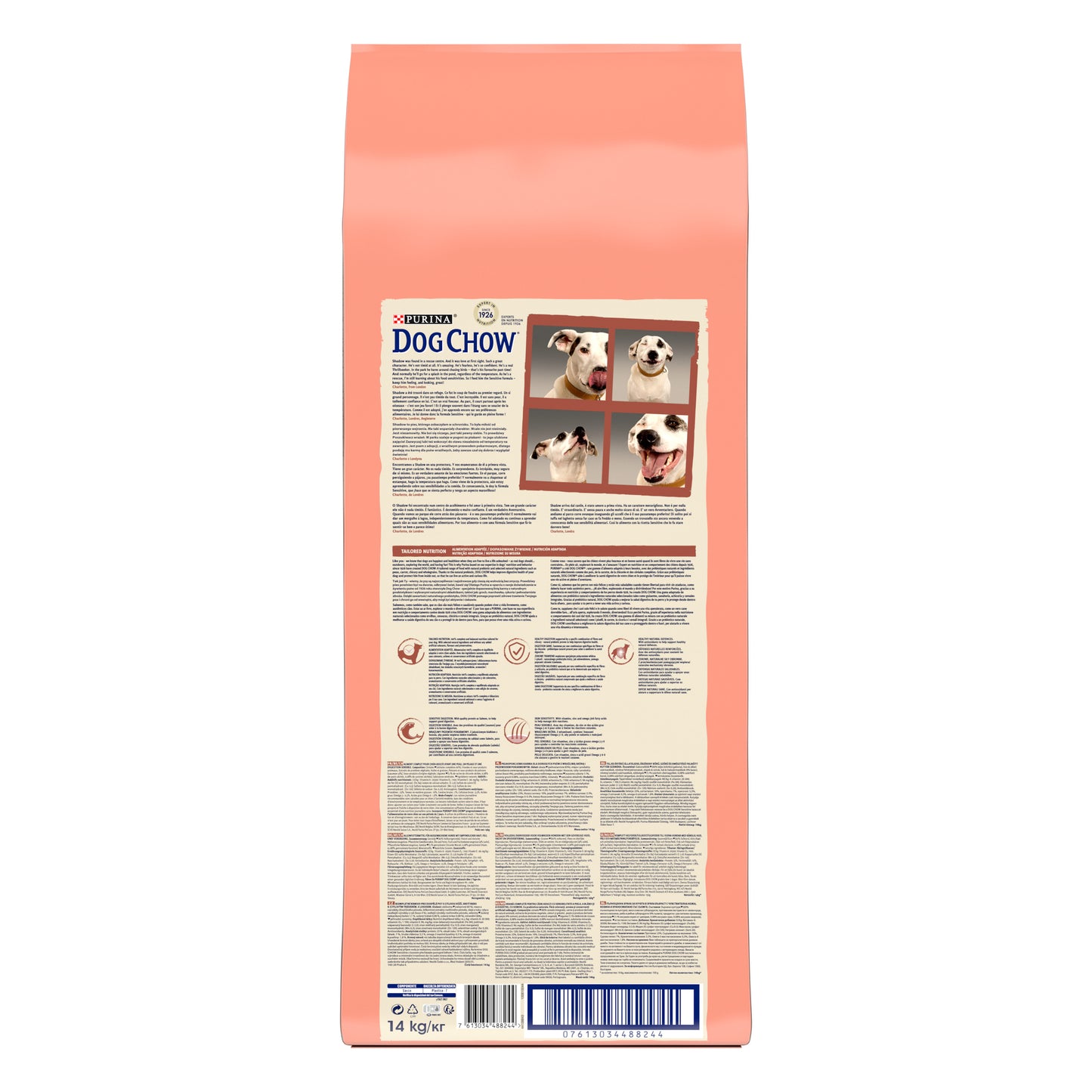 Dog Chow Somonlu 14 Kg Yetişkin Kuru Köpek Maması
