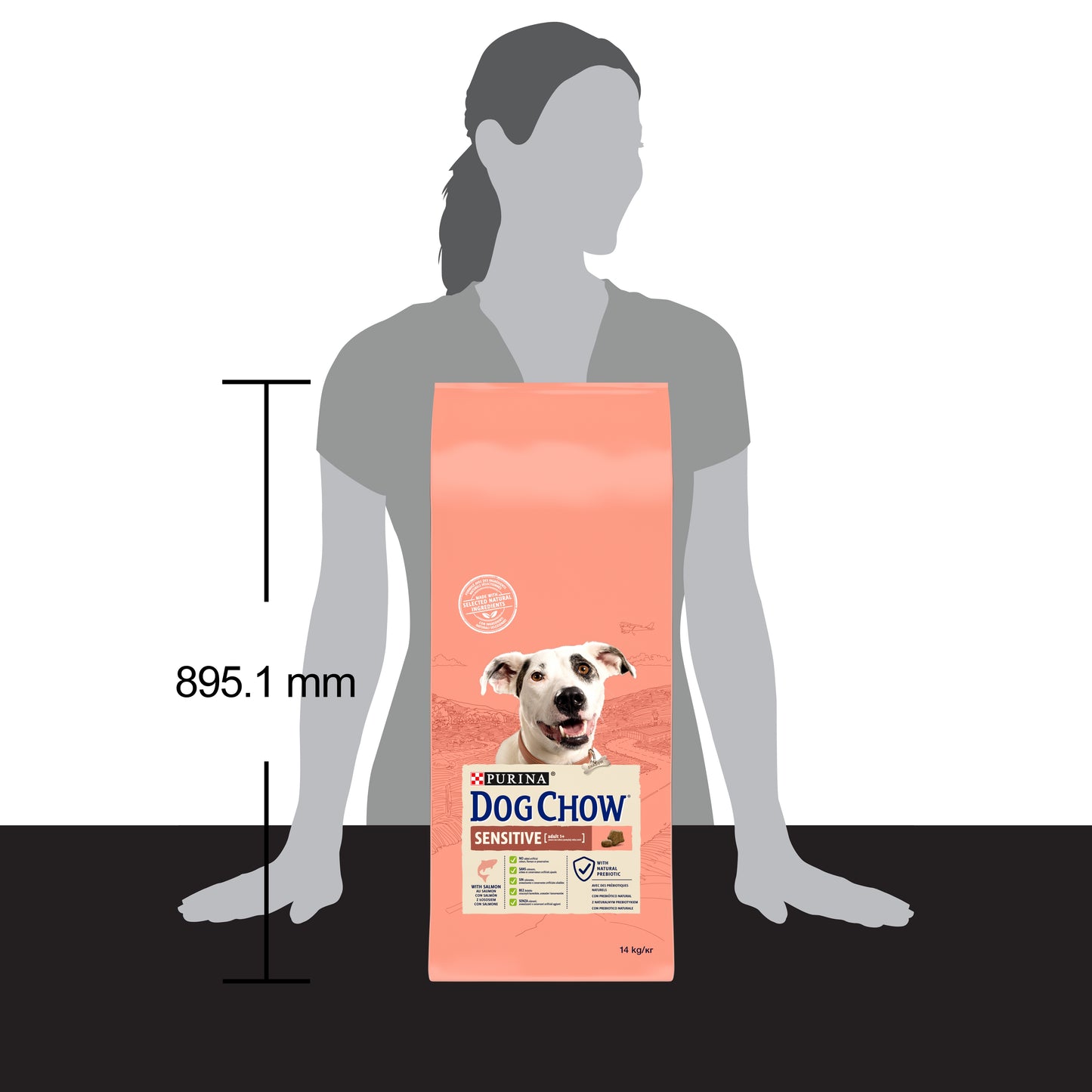 Dog Chow Somonlu 14 Kg Yetişkin Kuru Köpek Maması