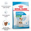 Royal Canin Mini Starter Mother&Babydog 1 Kg Yavru Kuru Köpek Maması