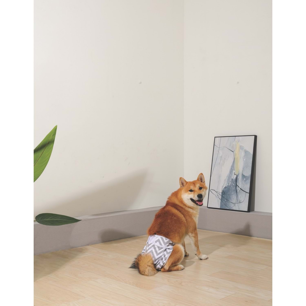 M-Pets Dişi Köpekler İçin Yıkanabilir Külot (M)