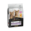 Pro Plan Kitten Tavuklu 3 Kg Yavru Kuru Kedi Maması