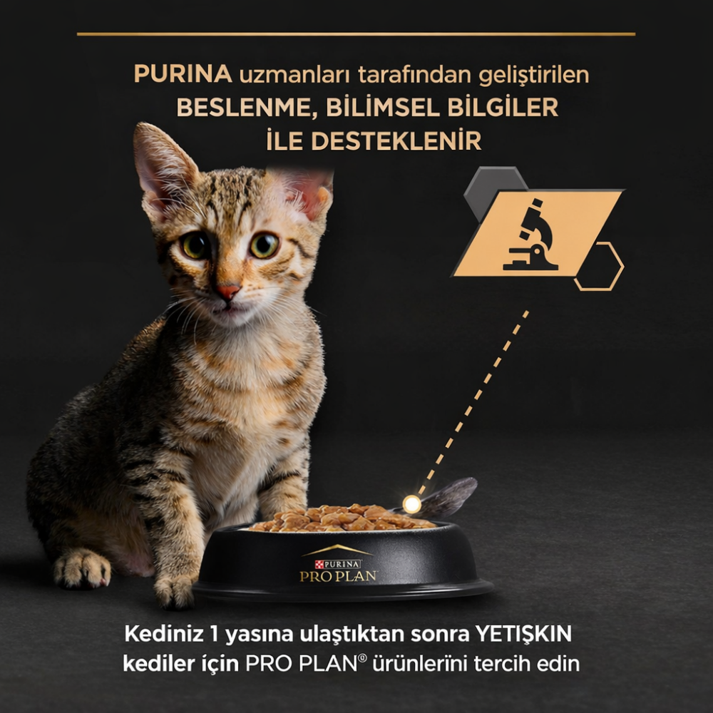 Pro Plan Kitten Tavuklu 85gr Yaş Kedi Konservesi