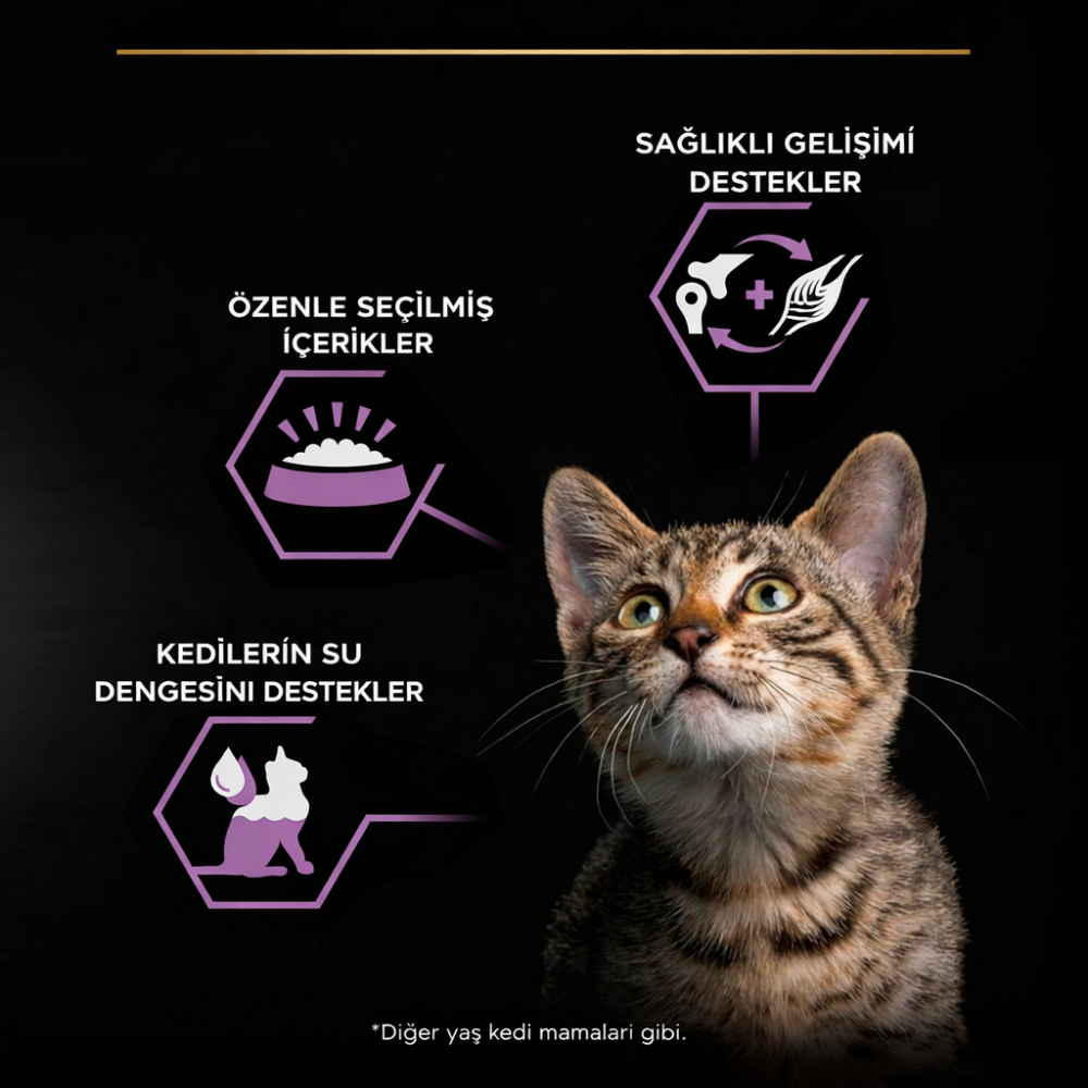 Pro Plan Kitten Tavuklu 85gr Yaş Kedi Konservesi