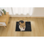 M-Pets Warmo Kendinden Isınan Mat (S)