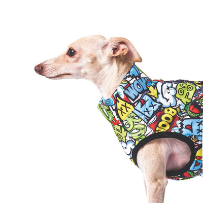 M-Pets Urbansytle Winter Jacket Multicolor (S)