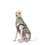 M-Pets Urbansytle Winter Jacket Multicolor (M)