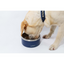 M-Pets Eskimo Çift Cidarlı Mama Kabı 1.25L Blue