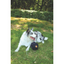 M-Pets Coto Black Ball 15 cm Örgü Top Oyuncak