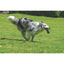 M-Pets Coto Black Loop Bar 34 cm Örgü Oyuncak
