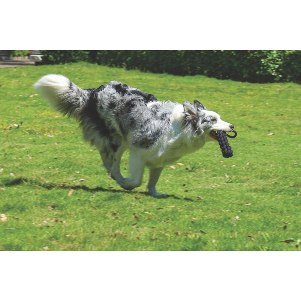 M-Pets Coto Black Loop Bar 34 cm Örgü Oyuncak