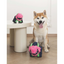 M-Pets Mega Mini Buffalo Köpek Oyuncağı