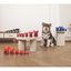 M-Pets Power Chew Kauçuk Köpek Ödül Oyuncağı Cıtrıne (S)