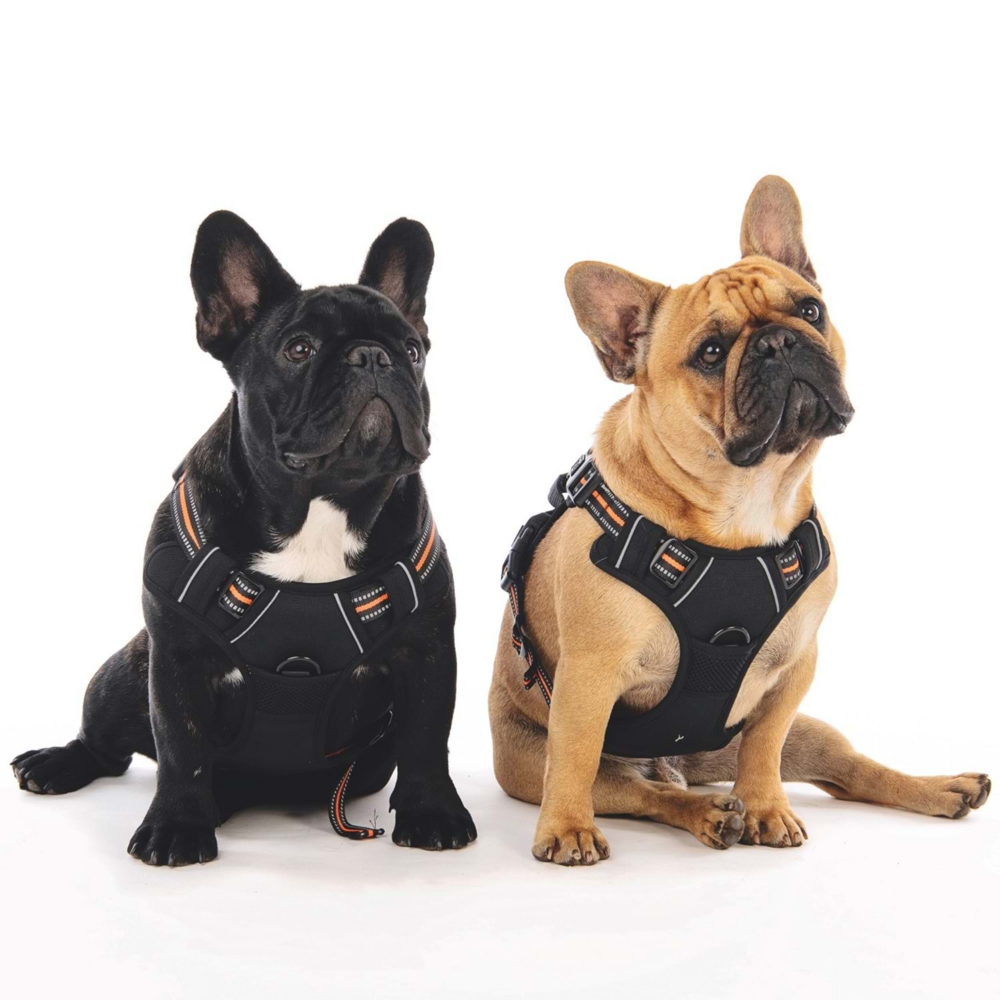 M-Pets Hıkıng Reflektörlü Soft Sırt Tasması Orange (M)