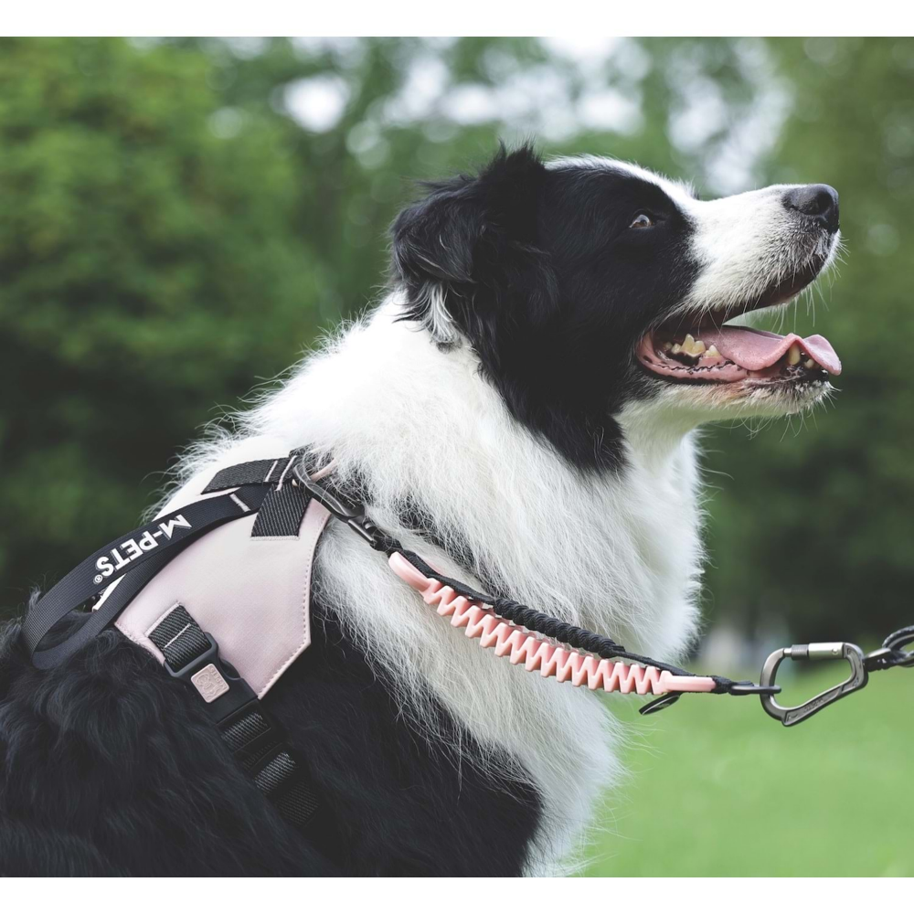 M-Pets Orıgamı Reflektörlü Sırt Tasması Pink (M)