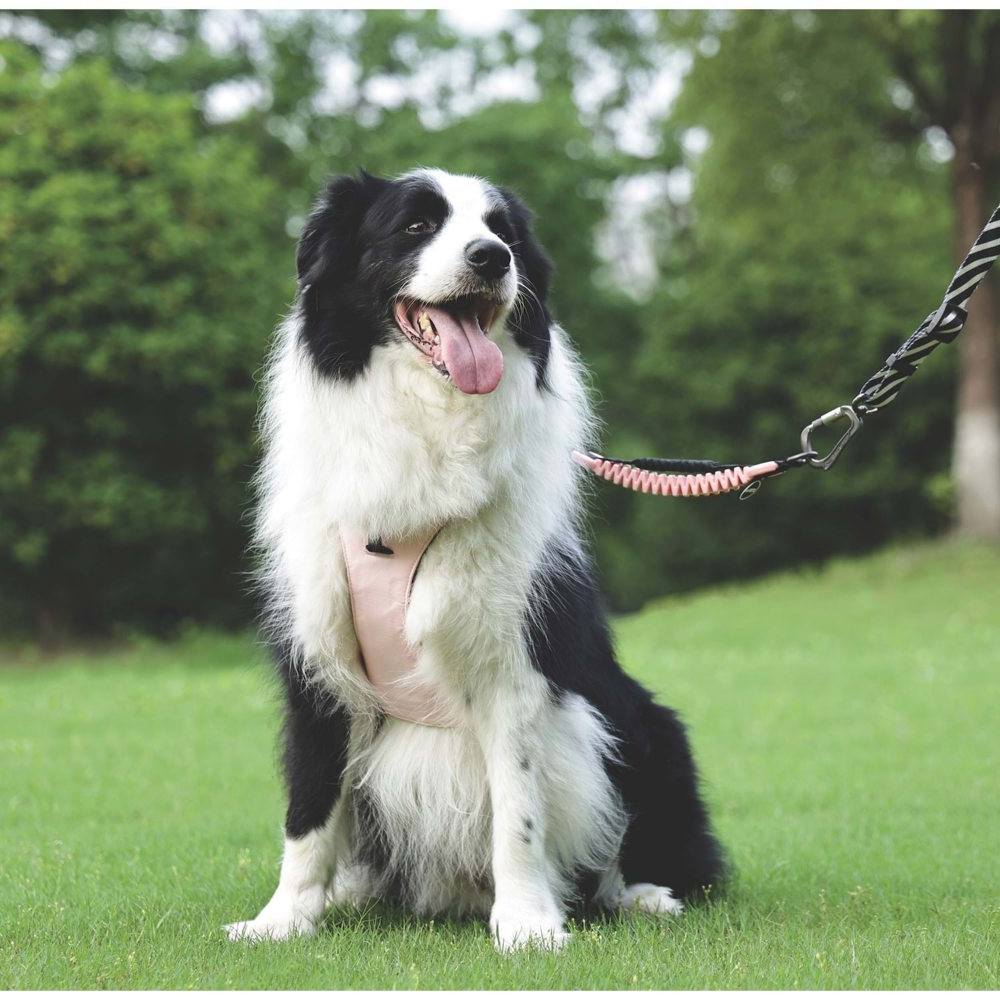 M-Pets Orıgamı Reflektörlü Sırt Tasması Pink (M)