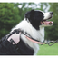 M-Pets Orıgamı Reflektörlü Sırt Tasması Pink (L)