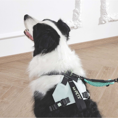 M-Pets Orıgamı Reflektörlü Sırt Tasması Green (M)