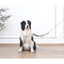 M-Pets Orıgamı Reflektörlü Sırt Tasması Blue (M)