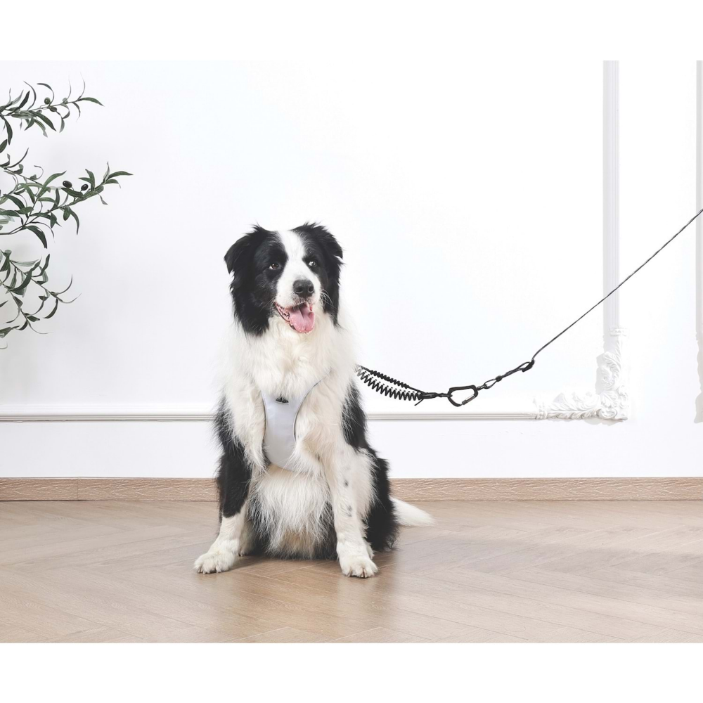 M-Pets Orıgamı Reflektörlü Sırt Tasması Blue (M)