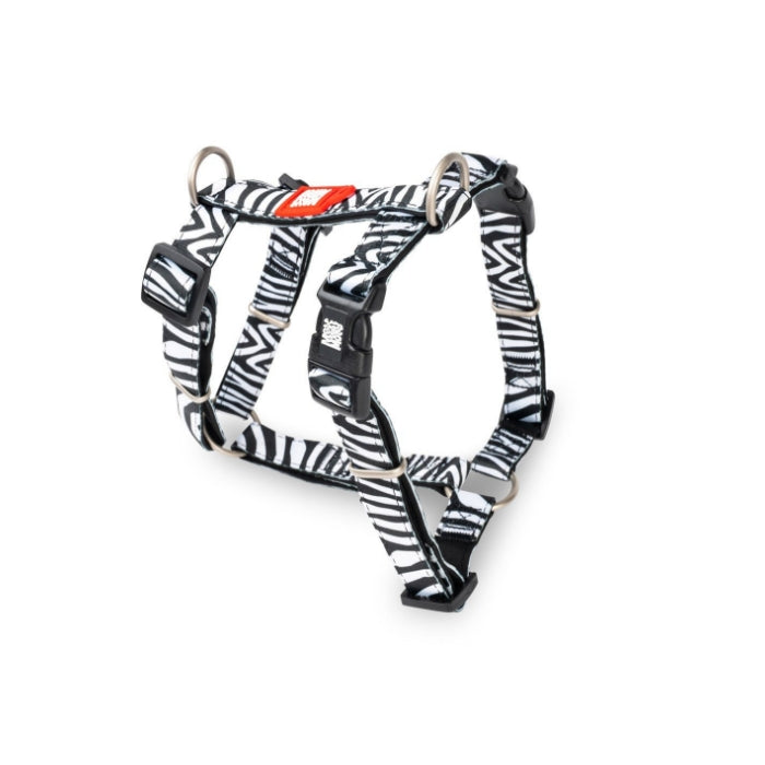 Max & Molly Zebra Göğüs Tasması S