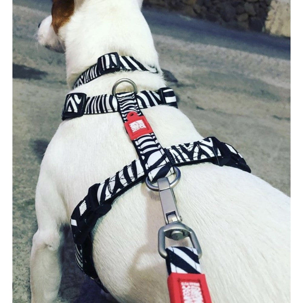 Max & Molly Zebra Göğüs Tasması S