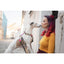 Max & Molly Missy Pop Göğüs Tasması M