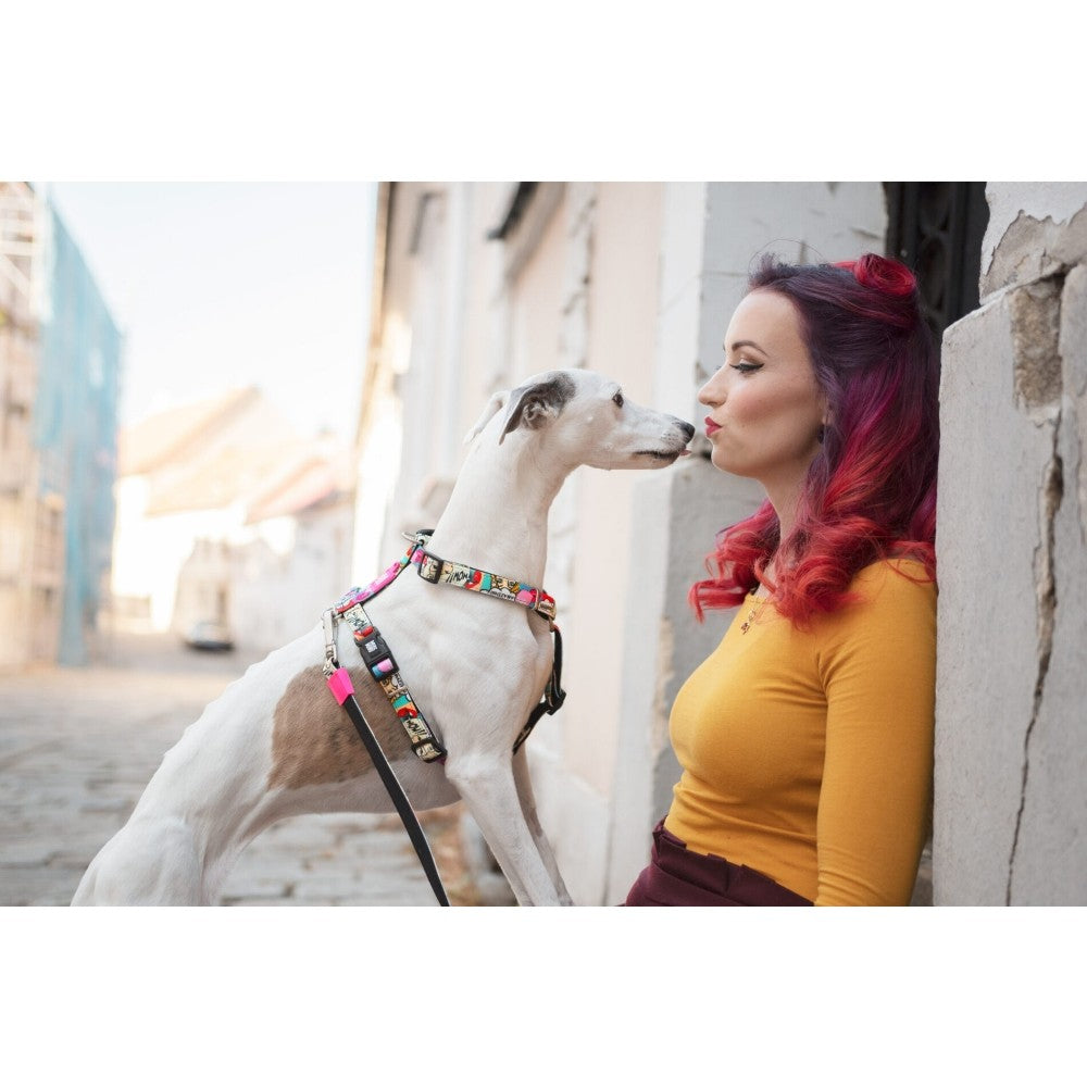 Max & Molly Missy Pop Göğüs Tasması M