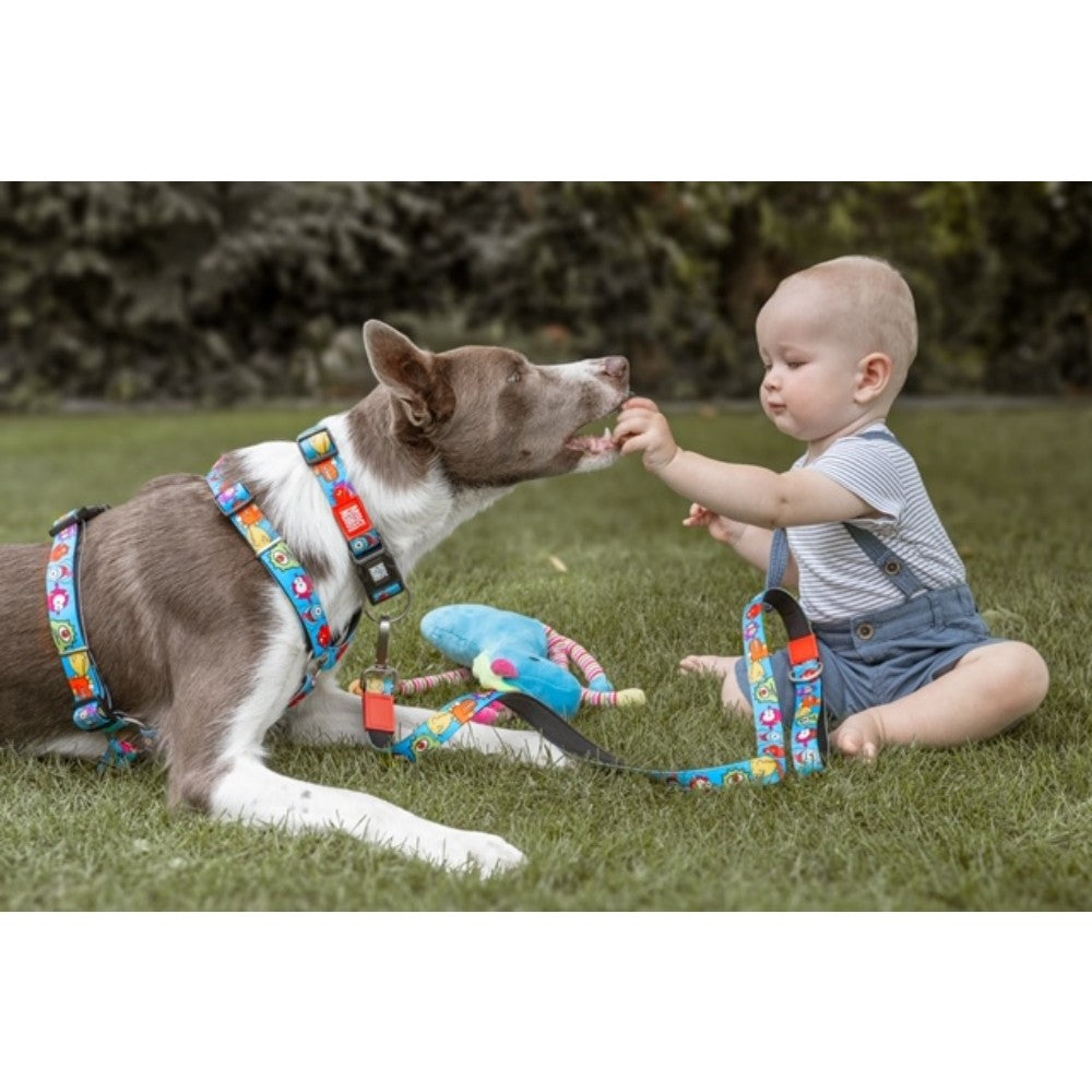 Max & Molly Lite Monsters Göğüs Tasması M