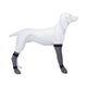 Trixie Köpek Çorabı, Su Geçirmez, 1 Adet, M:8cm/35cm Gri