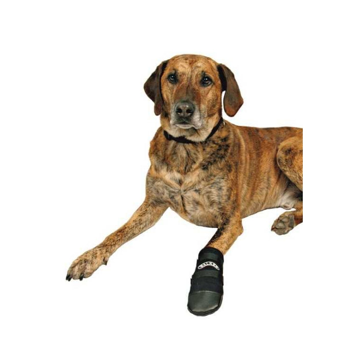 Trixie Köpek Patiği Neopren 2 Ad M Siyah