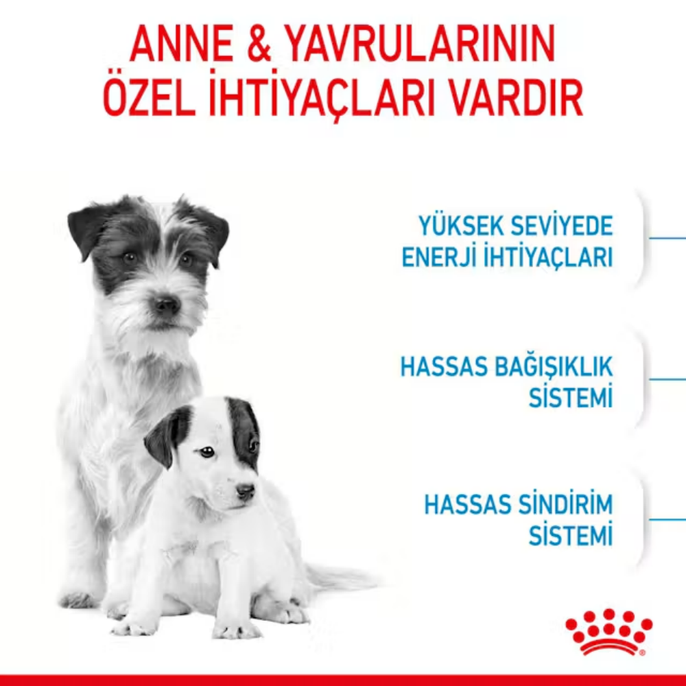 Royal Canin Mini Starter Mother&Babydog 1 Kg Yavru Kuru Köpek Maması
