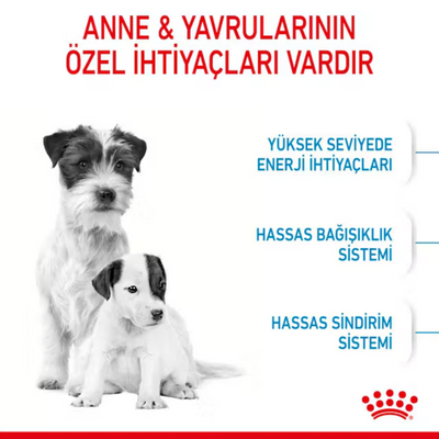 Royal Canin Mini Starter Mother&Babydog 1 Kg Yavru Kuru Köpek Maması