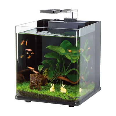 Nanux Blubios Led Aydınlatmalı Nano Akvaryum 25x27x27cm