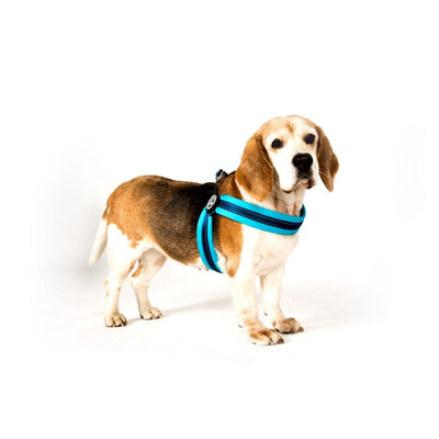 Max & Molly Q-Fit Matrix Sky Blue Göğüs Tasması L
