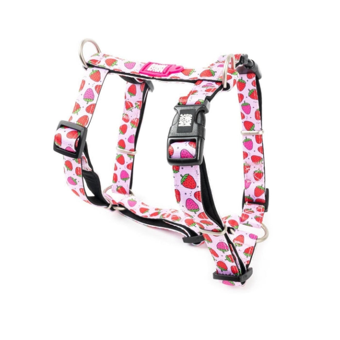 Max & Molly Strawberry Dream Köpek Göğüs Tasması XS