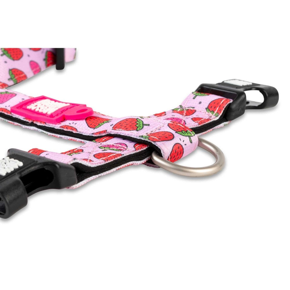 Max & Molly Strawberry Dream Köpek Göğüs Tasması XS