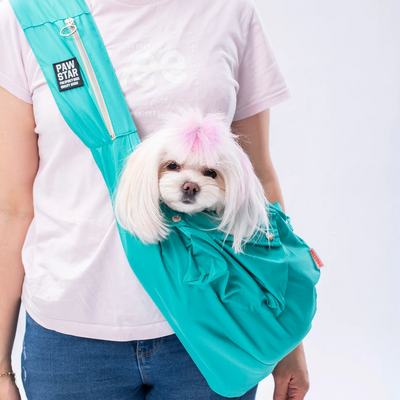 PawStar Mint Crossbody Çanta