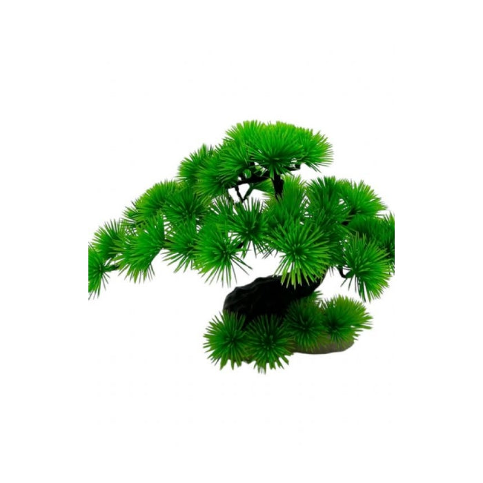 Aqua Master 4000036 Bonzai Bitki