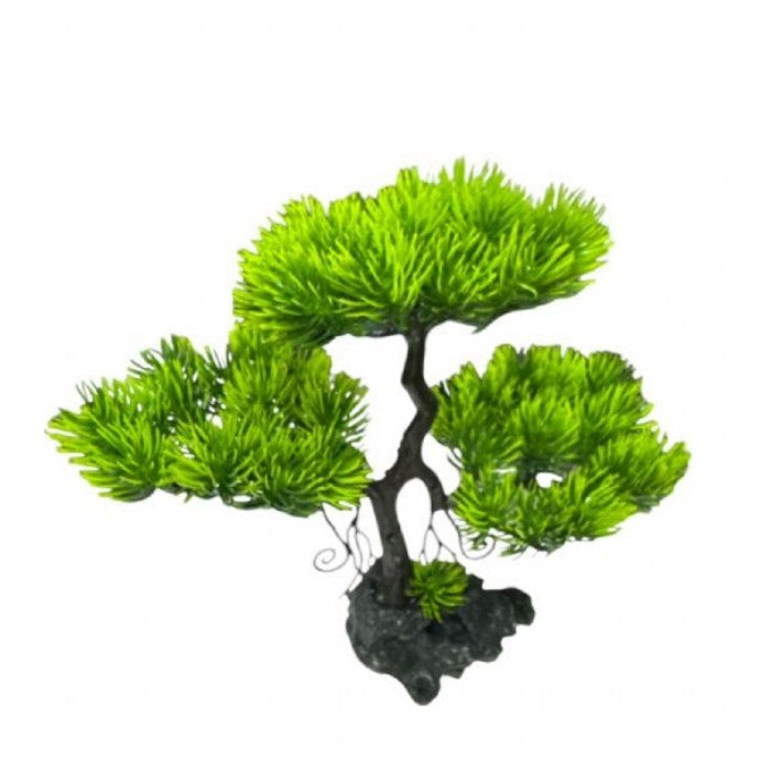 Aqua Master 4100001 Plastik Bitki Bonzai